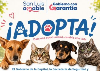REALIZARÁN JORNADA DE ADOPCIÓN RESPONSABLE DE MASCOTAS
