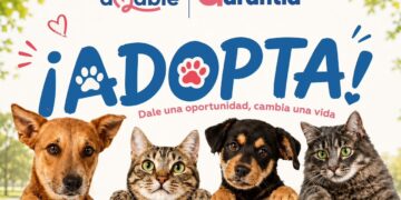 REALIZARÁN JORNADA DE ADOPCIÓN RESPONSABLE DE MASCOTAS
