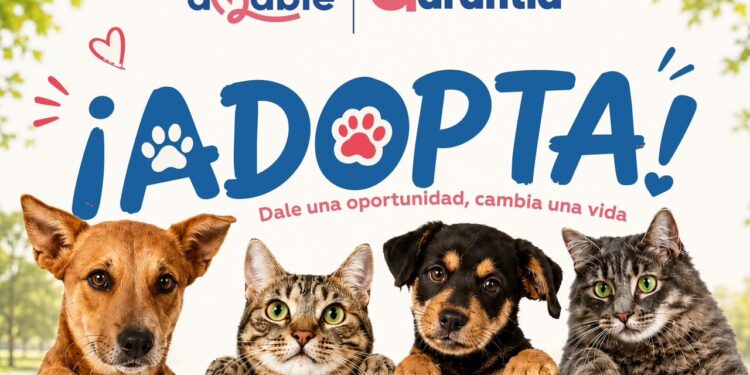 REALIZARÁN JORNADA DE ADOPCIÓN RESPONSABLE DE MASCOTAS